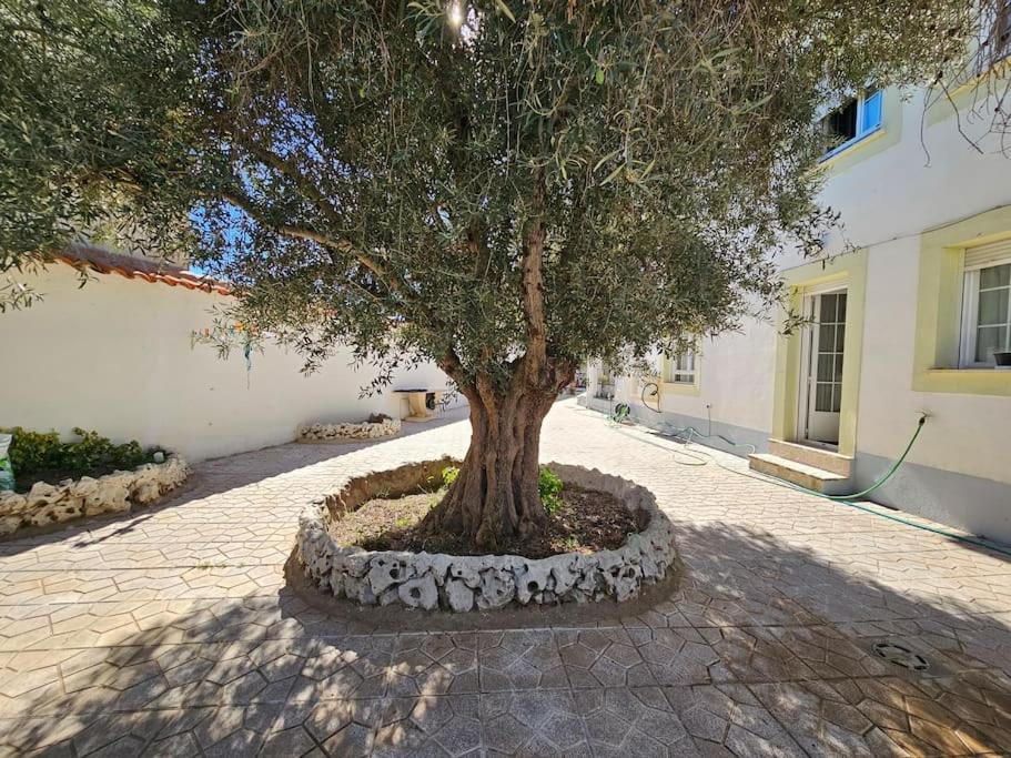 La Casa Del Arbol Fuentiduena de Tajo Exterior foto