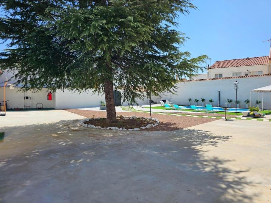 La Casa Del Arbol Fuentiduena de Tajo Exterior foto